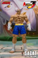 Storm Arena Street Fighter Alpha 3 Sagat Action Figure