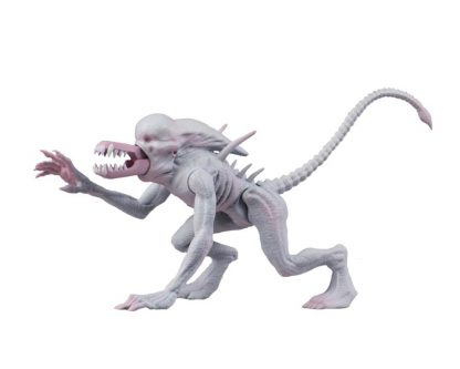Alien & Predator Classics Wave 1 Neomorph Action Figure-23026