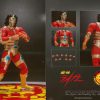 New Japan Wrestling Jyushin Liger Storm Collectibles Action Figure