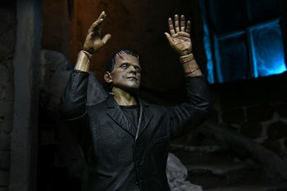 NECA Ultimate Frankenstein ( Colour ) Universal Monsters Action Figure