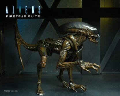 NECA Aliens: Fireteam Elite Runner Alien 7″ Scale Action Figure