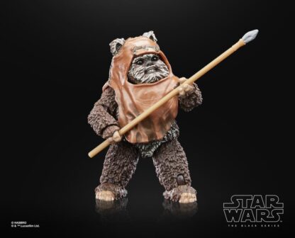 Star Wars The 40th Anniversary The Black Series Wicket ( ROTJ )