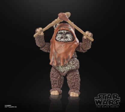 Star Wars The 40th Anniversary The Black Series Wicket ( ROTJ )