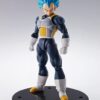S.H.Figuarts Dragon Ball Super Vegeta 15th Anniversary Figure