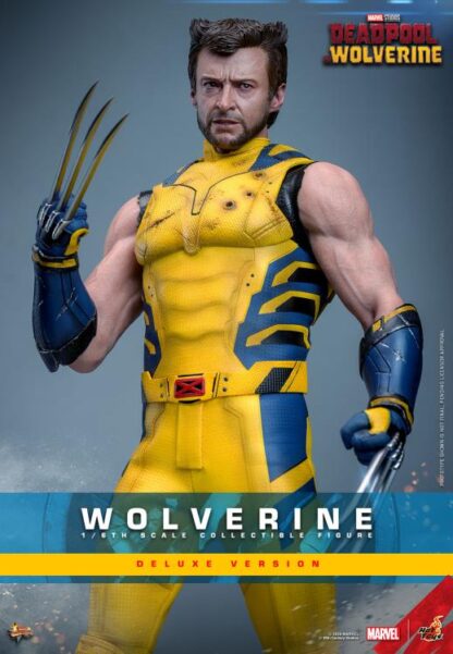 Hot Toys MMS574 Deadpool and Wolverine Deluxe Wolverine 1/6 Scale Figure