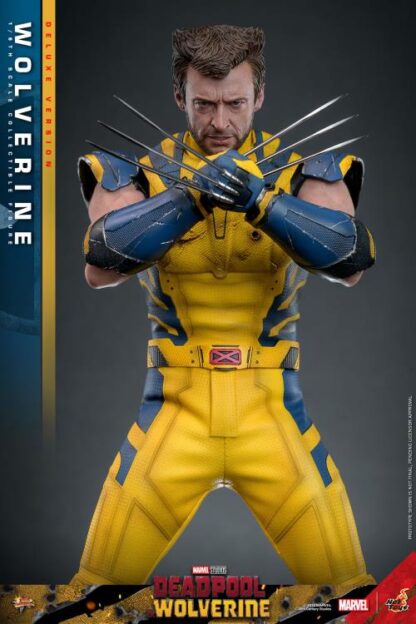 Hot Toys MMS574 Deadpool and Wolverine Deluxe Wolverine 1/6 Scale Figure