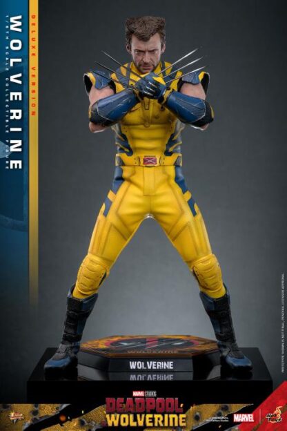 Hot Toys MMS574 Deadpool and Wolverine Deluxe Wolverine 1/6 Scale Figure