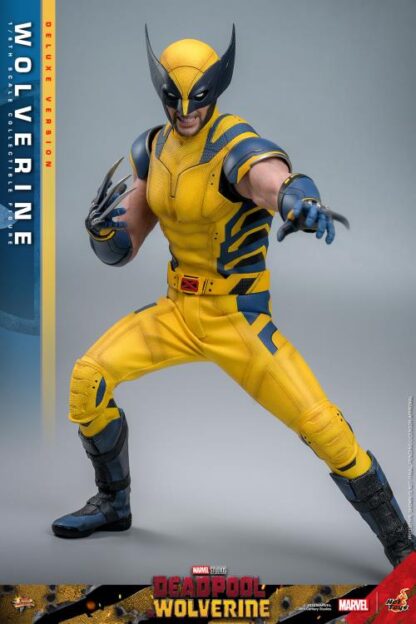 Hot Toys MMS574 Deadpool and Wolverine Deluxe Wolverine 1/6 Scale Figure
