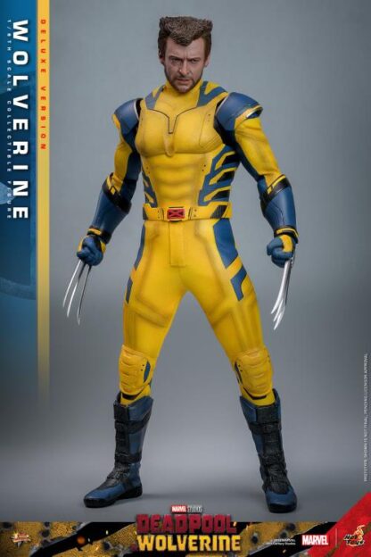 Hot Toys MMS574 Deadpool and Wolverine Deluxe Wolverine 1/6 Scale Figure