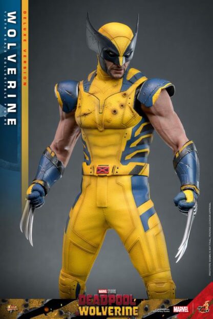 Hot Toys MMS574 Deadpool and Wolverine Deluxe Wolverine 1/6 Scale Figure