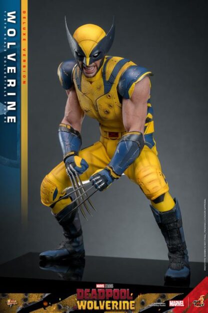 Hot Toys MMS574 Deadpool and Wolverine Deluxe Wolverine 1/6 Scale Figure