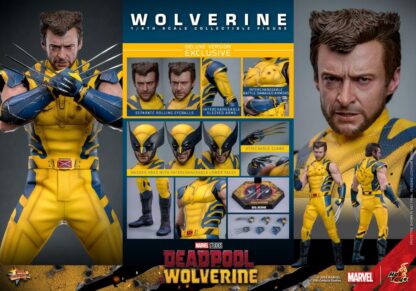 Hot Toys MMS574 Deadpool and Wolverine Deluxe Wolverine 1/6 Scale Figure