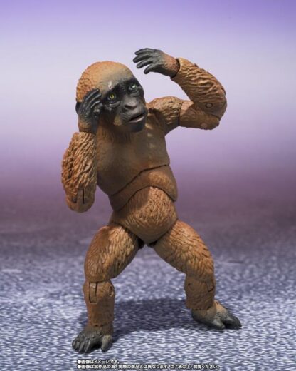 S.H.MonsterArts Godzilla X Kong The New Empire Suko and Mothra