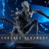Hot Toys Alien Romulus Scorched Alien MMS784
