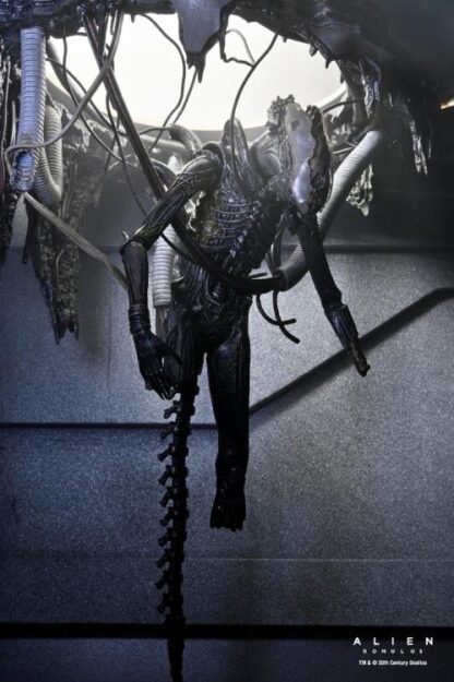 NECA Alien Romulus Suspended Lab Xenomorph  XX121 Action Figure