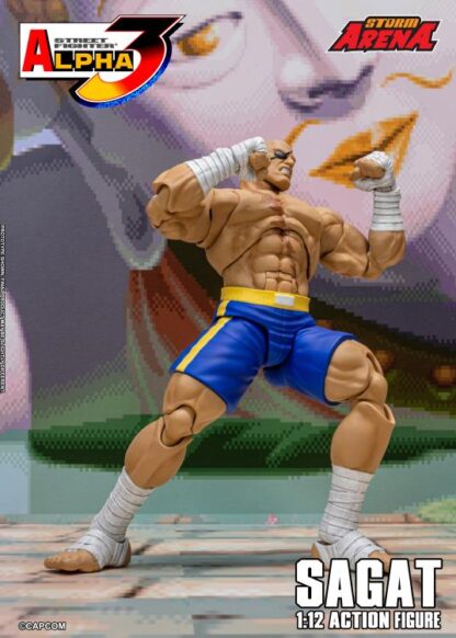 Storm Arena Street Fighter Alpha 3 Sagat Action Figure